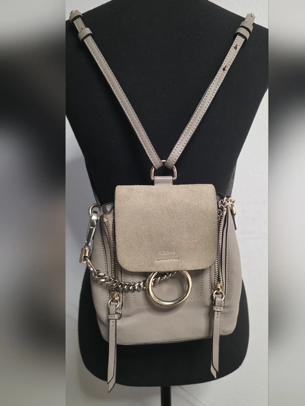 Chloe Faye Mini Backpack in Taupe with Suede Flap